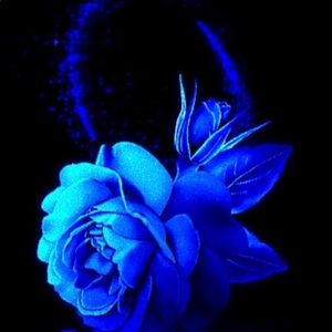 Meet your Posher, Aide